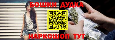 СК Новозыбков