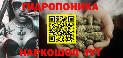 СК Новозыбков