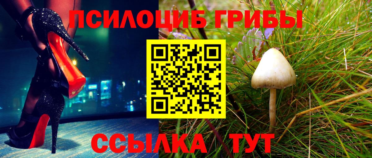 Галлюциногенные грибы Magic Shrooms  Вход с VPN  Татарск 