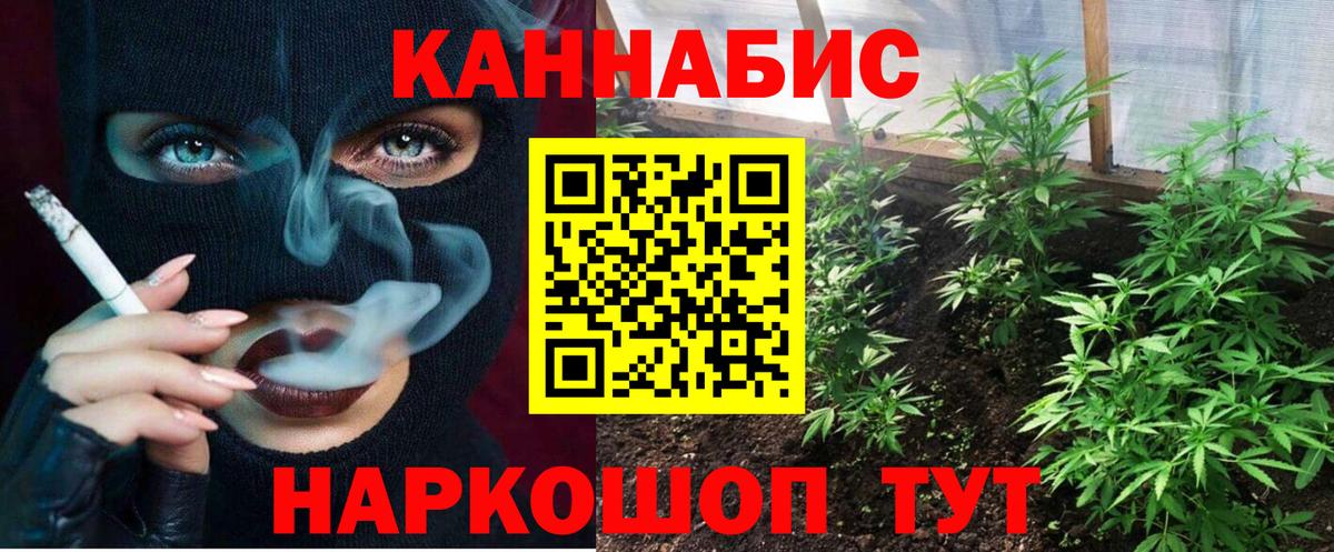 Бошки Шишки SATIVA & INDICA  Бошки марихуана тримм  Бошки марихуана индика  Татарск  Вход с VPN 